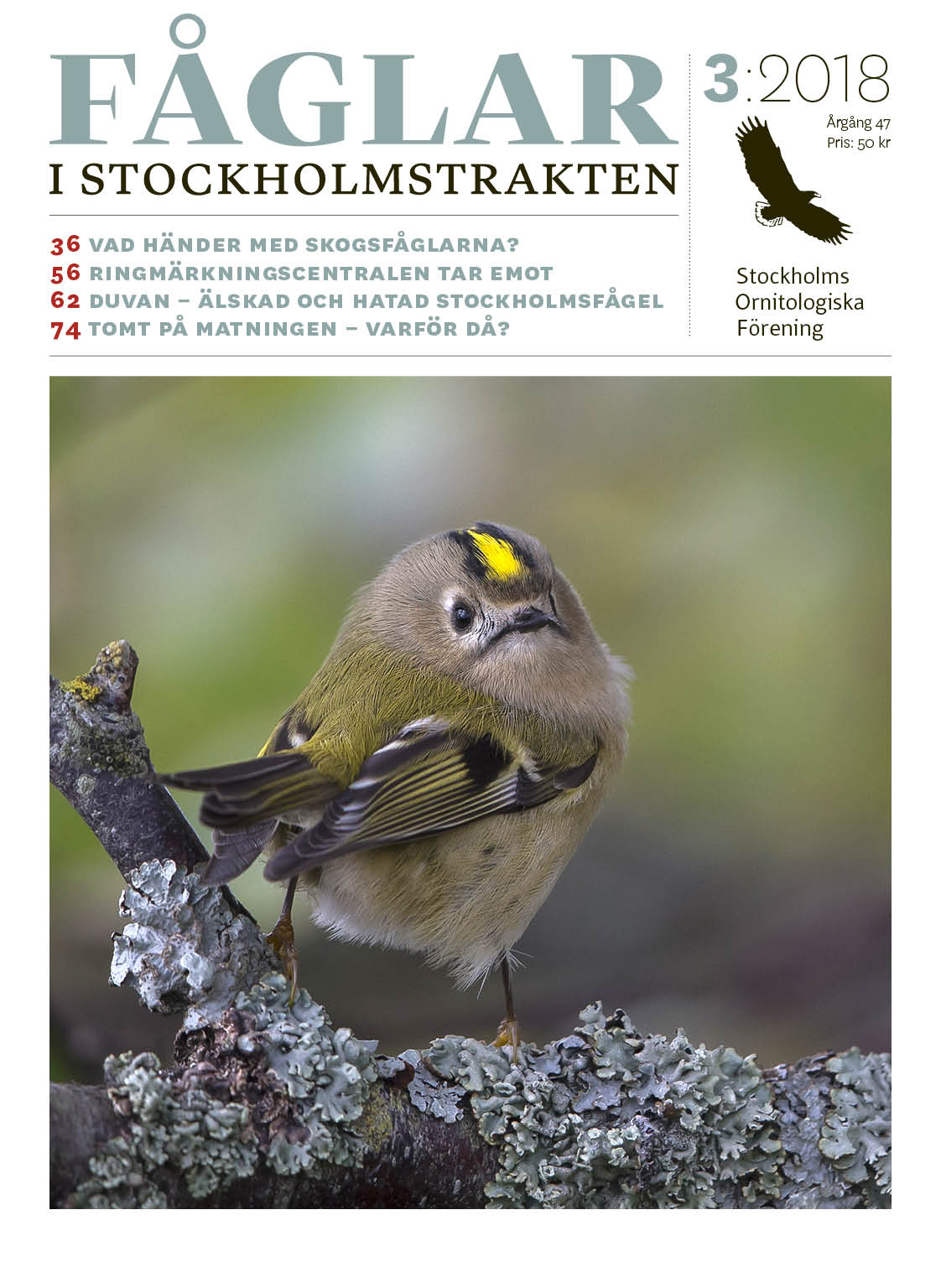 Omslag Fåglar i Stockholmstrakten